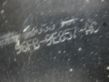 Абсорбер (фильтр угольный) Ford Fiesta 1995-2001
